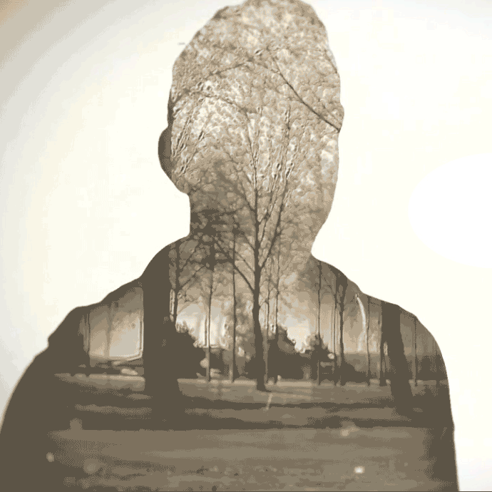 animation true detective